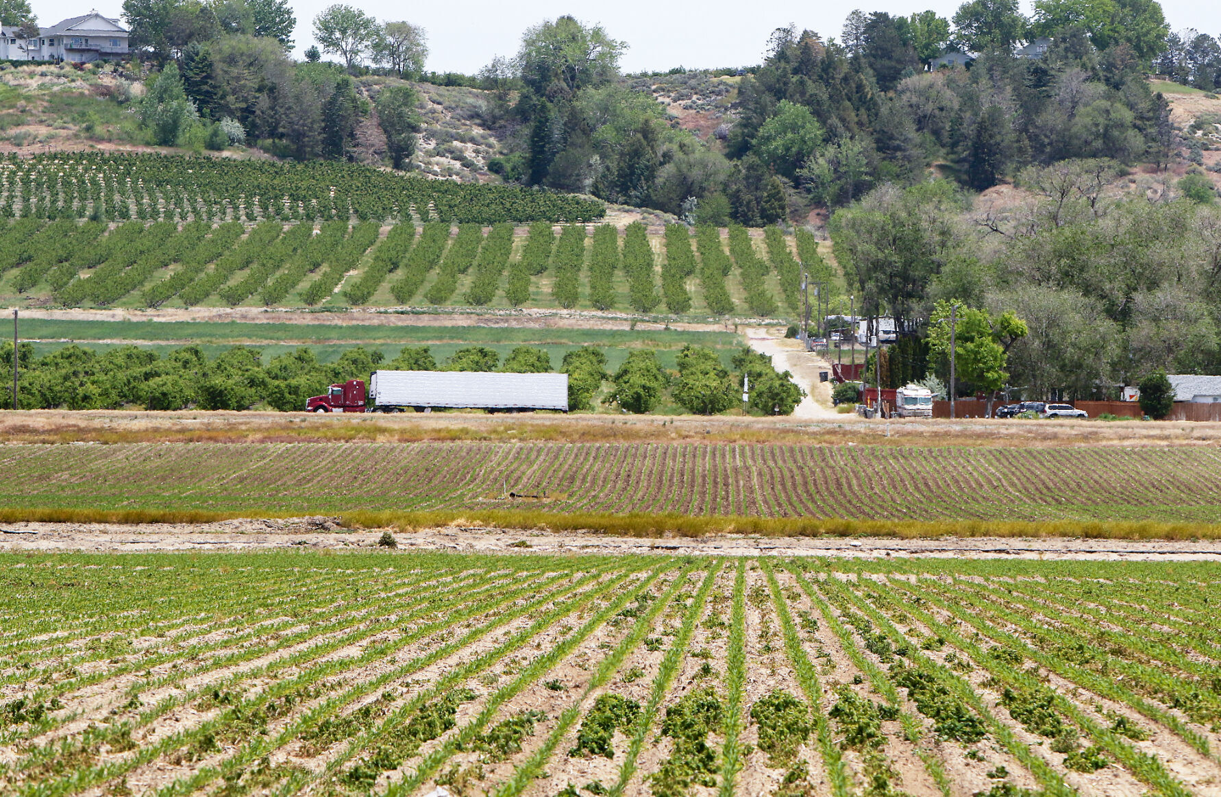 Canyon County Farmland